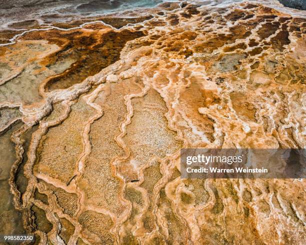 mammoth hot springs - weinstein fotografías e imágenes de stock