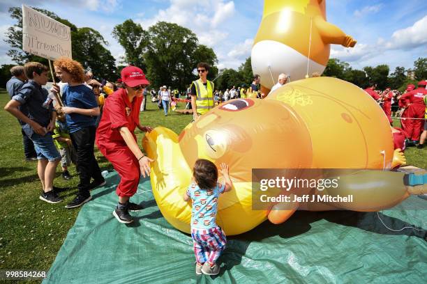 The Baby Trump Balloon floats in the middle of crowds holding anti-Trump signs while the U.S. President is visiting Trump Turnberry Luxury Collection...