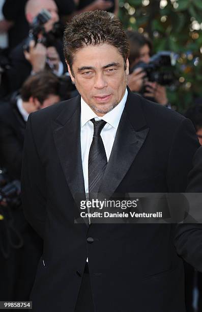 Juror Benicio Del Toro attends the premiere of 'Biutiful' held at the Palais des Festivals during the 63rd Annual International Cannes Film Festival...