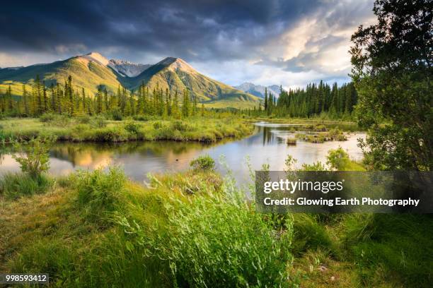 vermilion lakes, banff - canadian forest stock-fotos und bilder