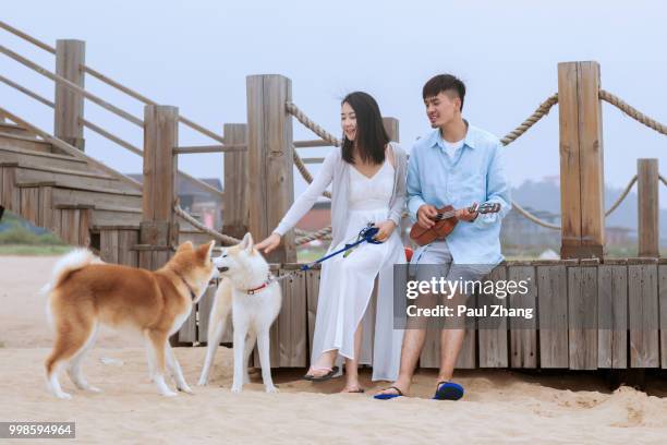 young couple sitting at the pier with pet dogs - akita inu fotografías e imágenes de stock
