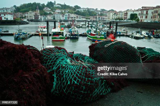 Seaweed and algae in fishing nets, used as marine ingredients in a wide range of sea algae-infused skin and haircare items such as face creams and...