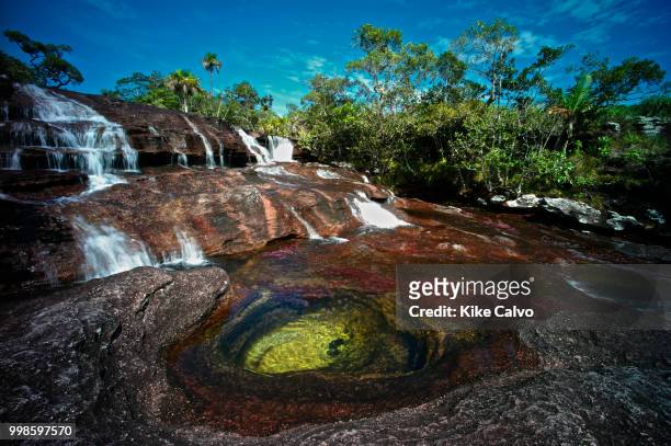 Cano Cristales river is commonly called the River of Five Colors or the Liquid Rainbow. Colorful endemic freshwater plants known as macarenia...
