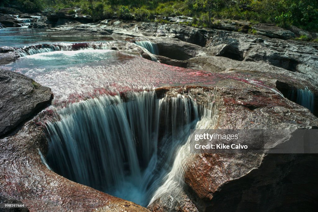 Cano Cristales.