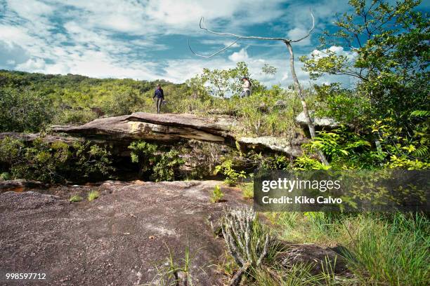 Tourist crosses a natural bridge over Cano Cristales River.