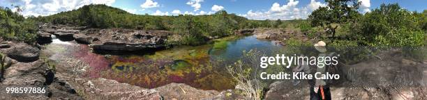 Colorful endemic red freshwater plants known as macarenia clavigera create colorful natural tapestries along the creeks of Cano Cristales river...