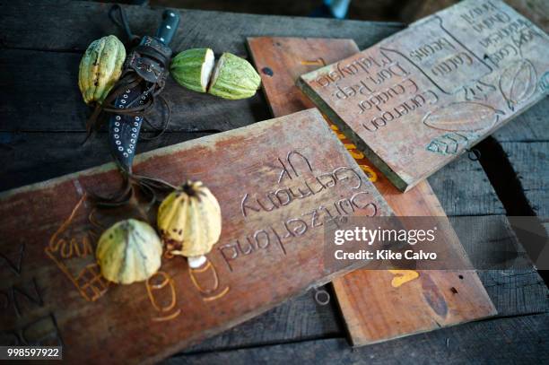 Cacao fruit and a machete.