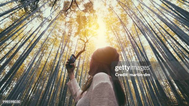 tourists in japan - bamboo forest stock pictures, royalty-free photos & images