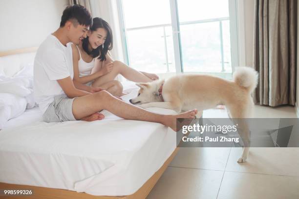 young couple in the bedroom - akita inu fotografías e imágenes de stock