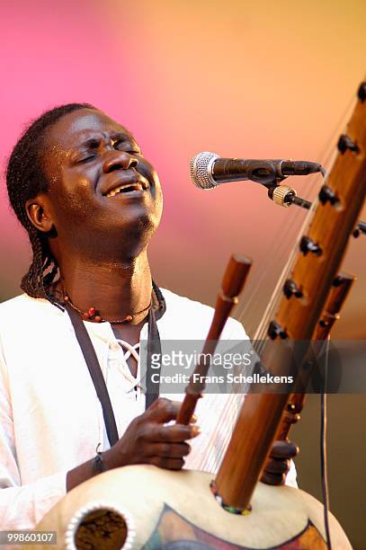 Cora player Nino Galissa performs live on stage at the Afrika Festival in Hertme, Netherlands on June 02 2005