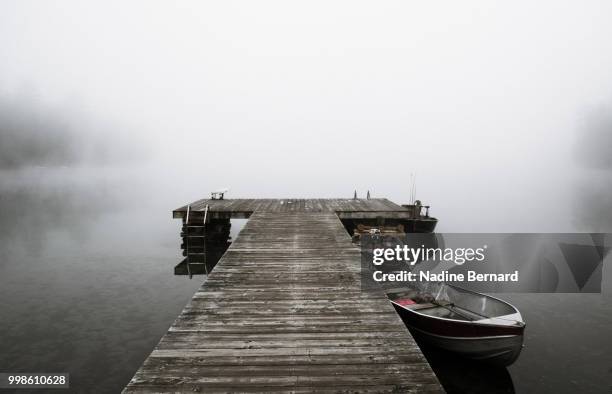 brume sur le lac - lac stock pictures, royalty-free photos & images