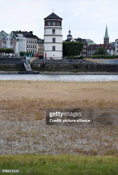 July 2018, Germany, Duesseldorf: Dried gras standing on the dried-out riverbed of the Rhine in Oberkassel. Photo: Ina Fassbender/dpa