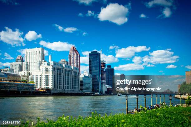 view from roosevelt island tramway - socorro island imagens e fotografias de stock