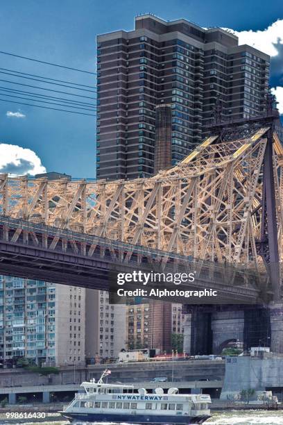 view from roosevelt island - socorro island imagens e fotografias de stock