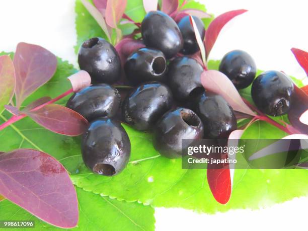 black olive - pizza napoletana fotografías e imágenes de stock