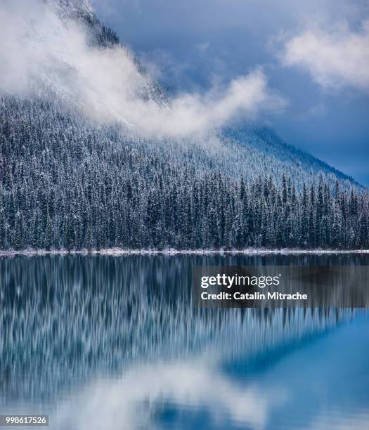 lake wonder - wonder lake stock pictures, royalty-free photos & images