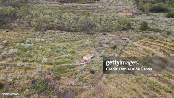 spanish countryside aerial shot - daniel viñé garcia stock-fotos und bilder