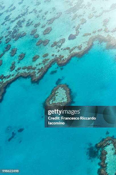 great barrier reef, australia - barrier imagens e fotografias de stock
