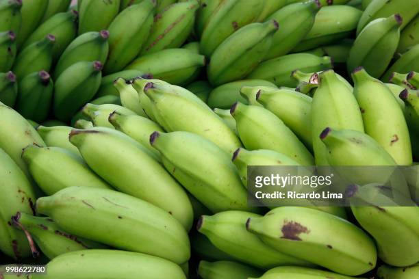 bunches of green bananas exposed for sale in a fair in santarem, amazon region, brazil - amazon region stockfoto's en -beelden