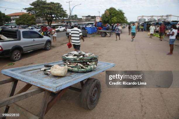 santarem riverside port, para state, brazil - nordbrasilien stock-fotos und bilder