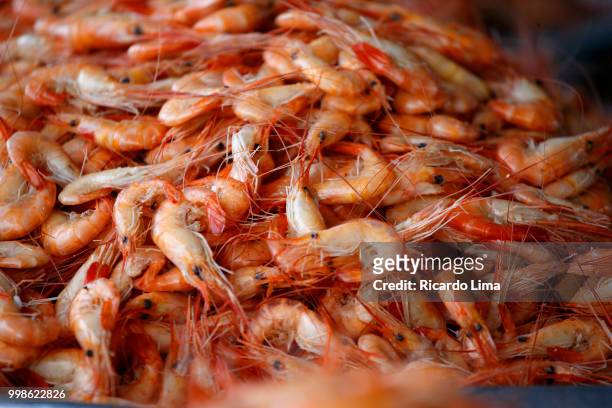 salty shrimp exposed for sale, amazon region, brazil - northern brazil ストックフォトと画像