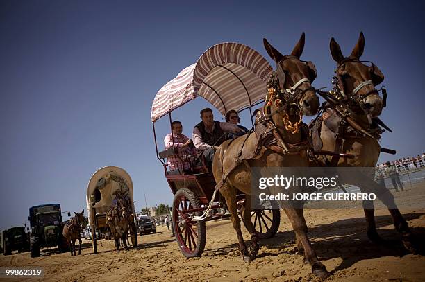 Pilgrims make their way to the shrine of El Rocio in Donana national park during the annual El Rocio pilgrimage, on May 18, 2010 in Sanlucar de...