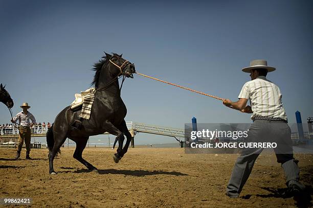 Pilgrim tries to get a horse under control en route to the shrine of El Rocio in Donana national park during the annual El Rocio pilgrimage, on May...