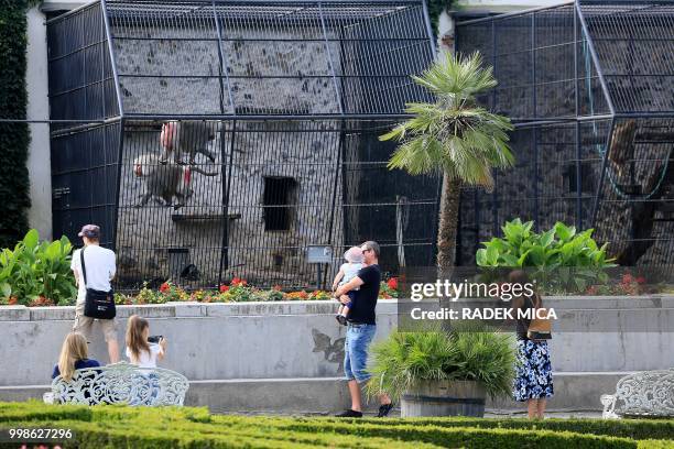 People visit the mini zoo of the Kromeriz castle in the Czech city of Kromeriz on July 13, 2018. - Churches in the Czech Republic are up in arms...