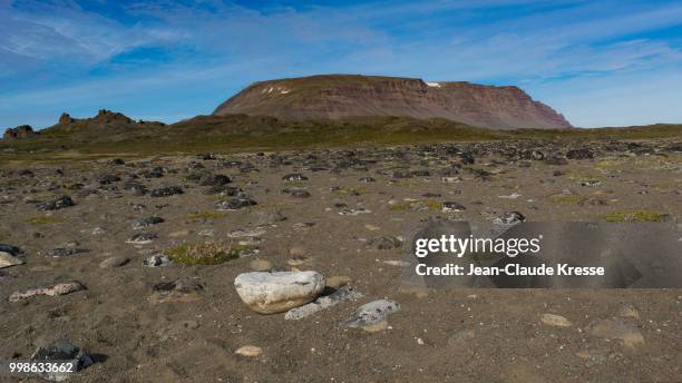 skarvefjeldet - kresse stockfoto's en -beelden