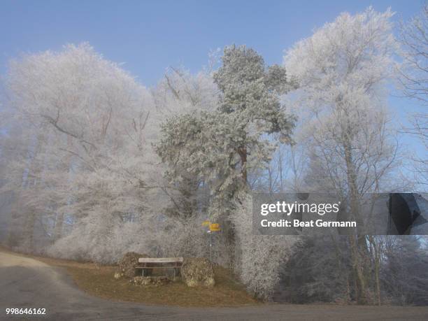 by the edge of the woods - germann stock-fotos und bilder