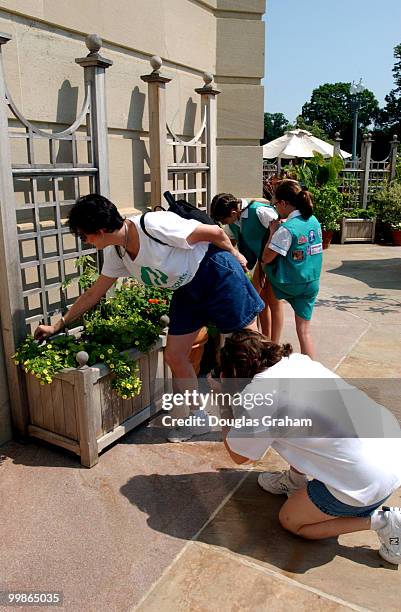 Girl Scout Troop 28 from St. Angelo Texas check out the Lantana and the Yellow Mini Petnnia containers at the United States Botanical Garden. The...