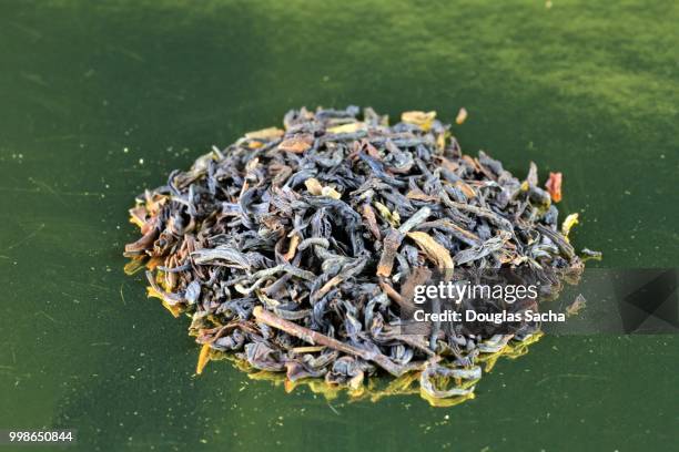 close-up of darjeeling herbal tea from india - theaceae stock pictures, royalty-free photos & images