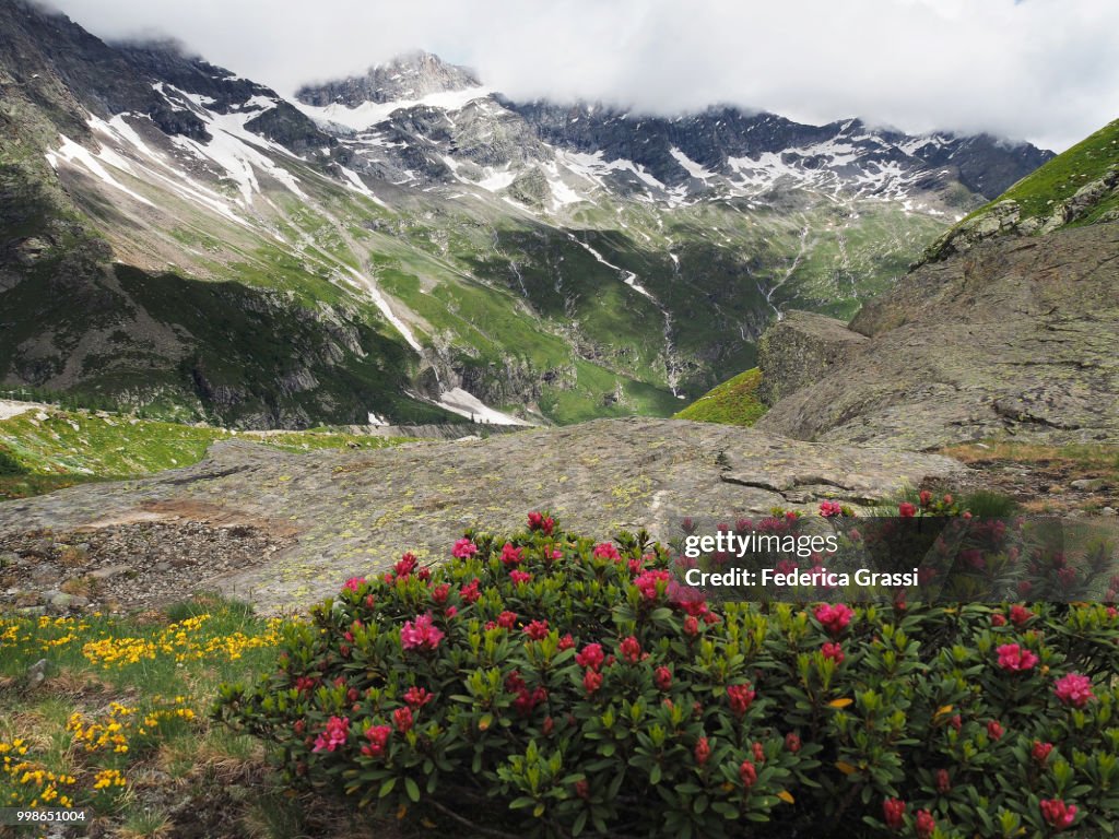Alpine Landscape At Monte Rosa Massif
