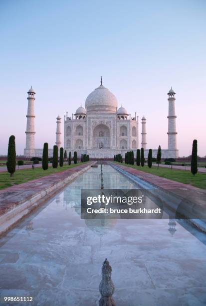 taj mahal at dawn with no people - inlay stock pictures, royalty-free photos & images