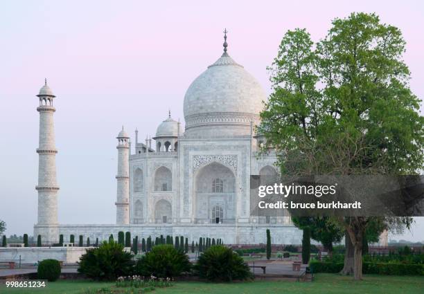 taj mahal at dawn with no people - inlay stock pictures, royalty-free photos & images