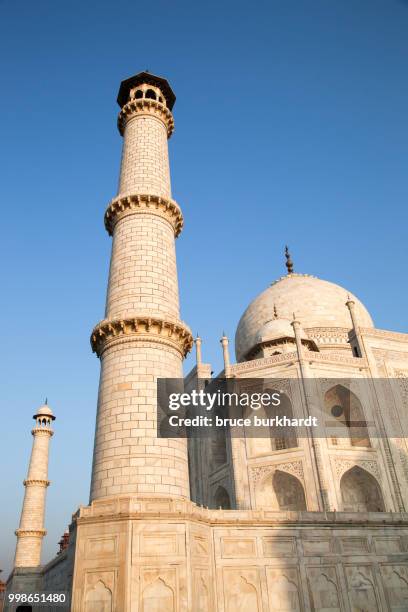 taj mahal architectural detail and inlayed marble - inlay stock pictures, royalty-free photos & images