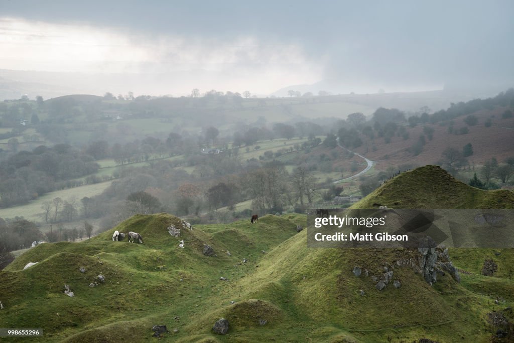 Stunning landscape image of abandoned quarry taken over by natur