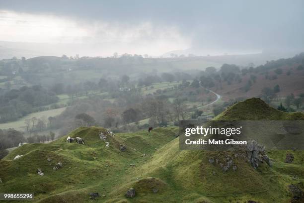 stunning landscape image of abandoned quarry taken over by natur - natuur stock pictures, royalty-free photos & images