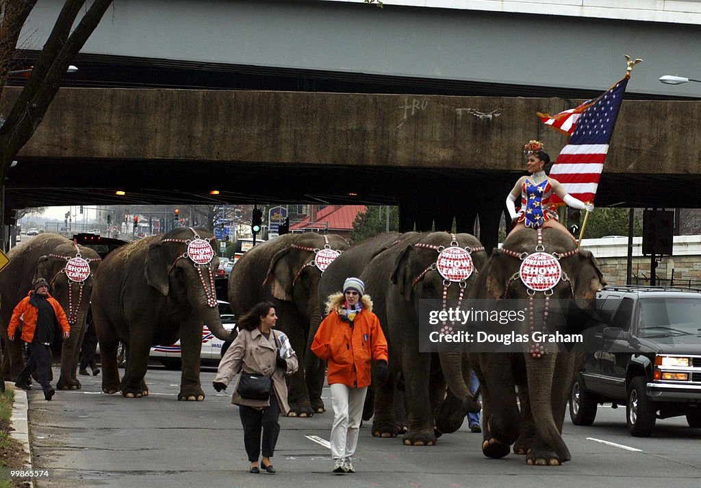 Ringling Brothers and Barnum & Bailey Circus