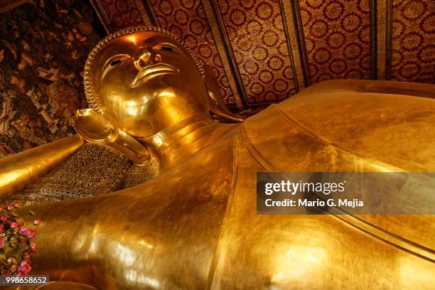 wat pho - bangkok - reclining buddha statue stock pictures, royalty-free photos & images