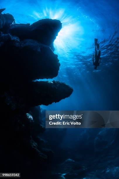 descente dans le bleu - bleu marine stock pictures, royalty-free photos & images