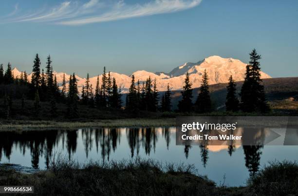 mount denali, denali national park, alaska - cathedral peaks stockfoto's en -beelden