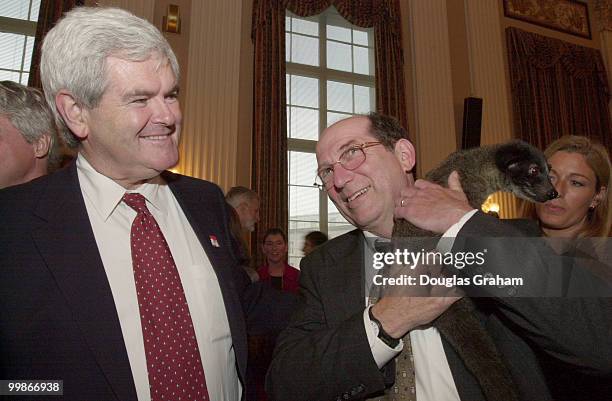 Former Speaker of the House Newt Gingrich, R-Ga., and Wayne T. Gilchrest, R-Md., play with Civet in the Cannon Cauaus Room during a reception to...