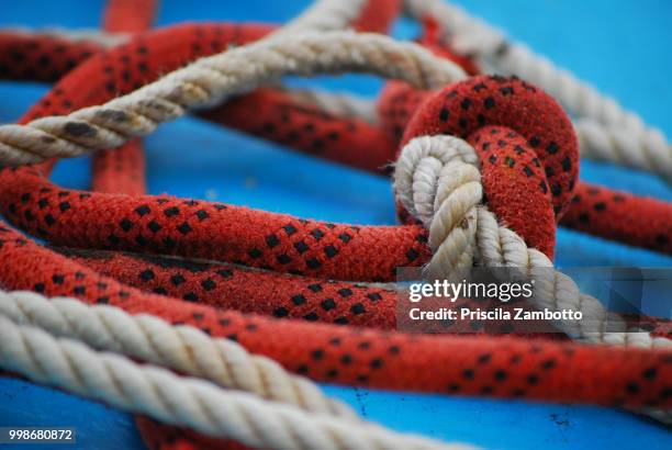 510 Hessian String Stock Photos, High-Res Pictures, and Images - Getty ...