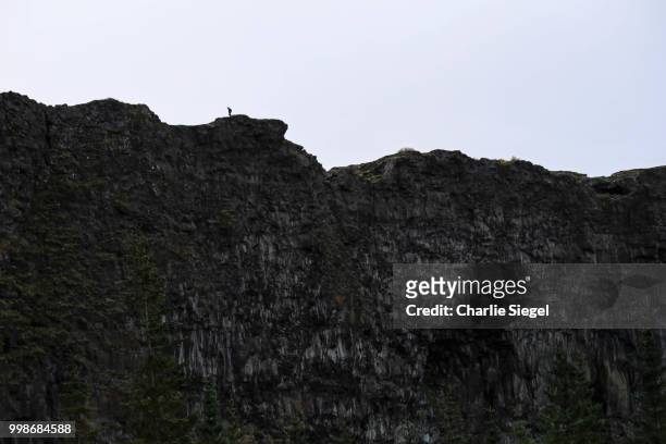 hiker on the wall of asbyrgi - siegel stock pictures, royalty-free photos & images