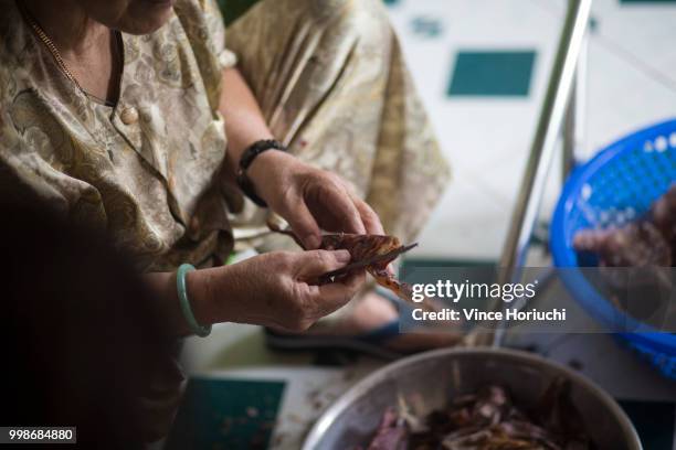 pealing squid - phu yen province stock pictures, royalty-free photos & images