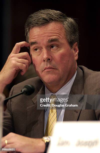 Jeb Bush, R-Fla., during the Senate Armed Services Committee Personnel Subcommittee joint hearing on the Pentagon and State's response to the need of...