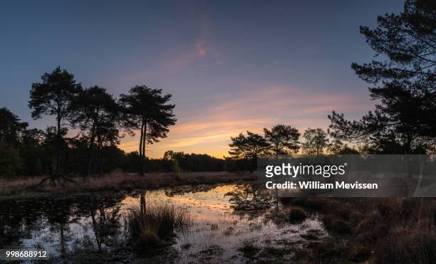 panorama 'painted twilight' - william mevissen stock pictures, royalty-free photos & images