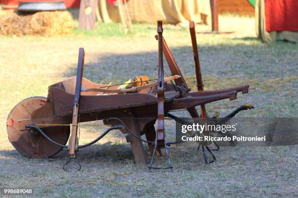 medieval wooden crossbow in exibition - animal arm stock pictures, royalty-free photos & images