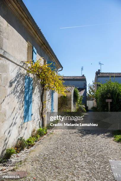 little pedestrian street of village of talmont sur gironde, charente maritime, france - charente stock pictures, royalty-free photos & images